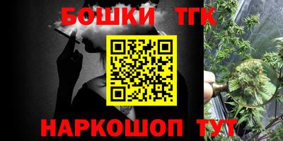 МДПВ Бийск