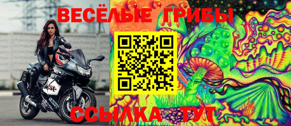 Гурьевск  МАРИХУАНА  МАРИХУАНА  Меф   LSD-25  ГАШ  Cocaine  ГАШИШ  А ПВП СОЛЬ  