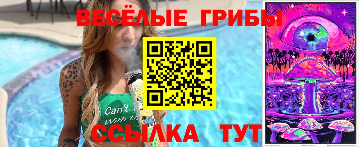 Галлюциногенные грибы мухоморы  Гурьевск 