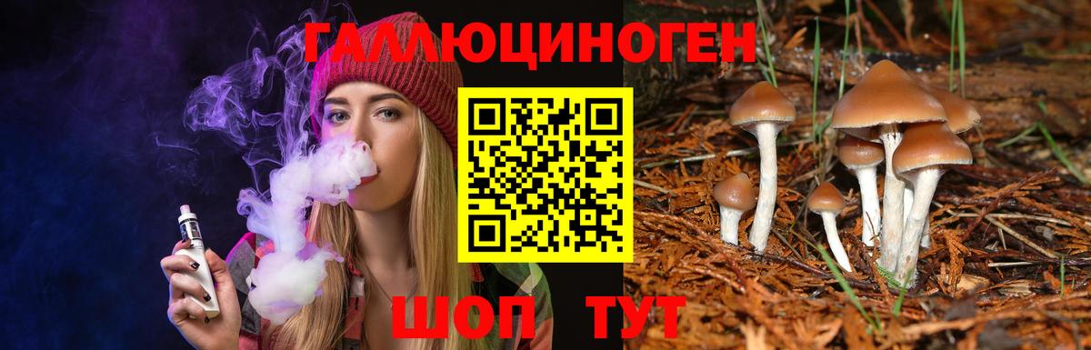 Псилоцибиновые грибы GOLDEN TEACHER Гурьевск