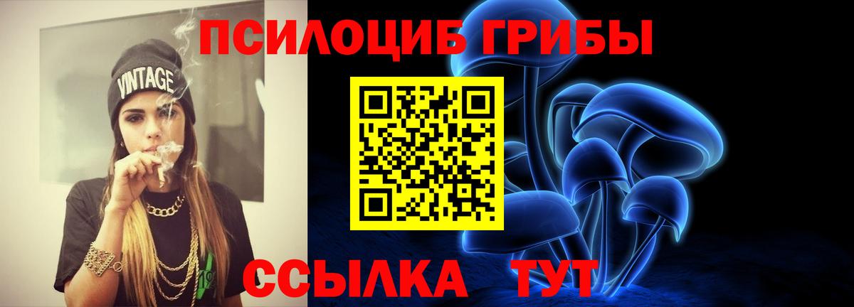 Галлюциногенные грибы Magic Shrooms Гурьевск